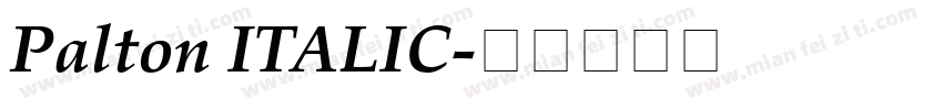 Palton ITALIC字体转换
